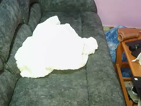 Snapshot of petitev chatting on November 4, 2025, 9:41 am petitev online show from November 4, 2025, 9:41 am