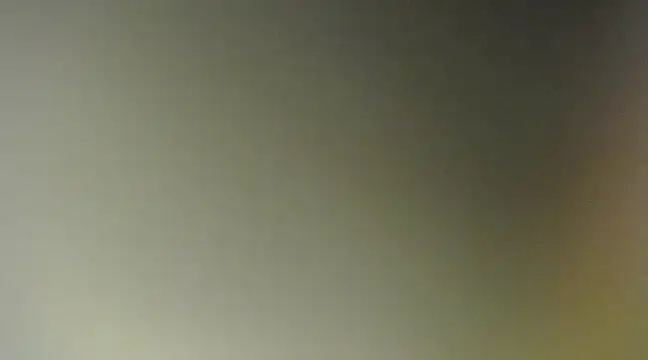 Snapshot of Lovensetest chatting on March 11, 2025, 8:52 am Lovensetest online show from March 11, 2025, 8:52 am