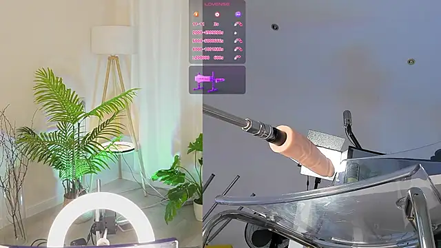 Sexydoll112 online show from December 2, 2025, 11:56 pm