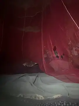 amy gata online show from February 17, 2026, 8:55 am