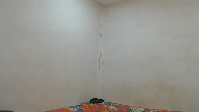 Snapshot of danielitopapuu chatting on November 7, 2025, 4:23 am danielitopapuu online show from November 7, 2025, 4:23 am