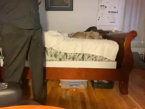 flexingplexico online show from January 14, 2026, 1:06 pm