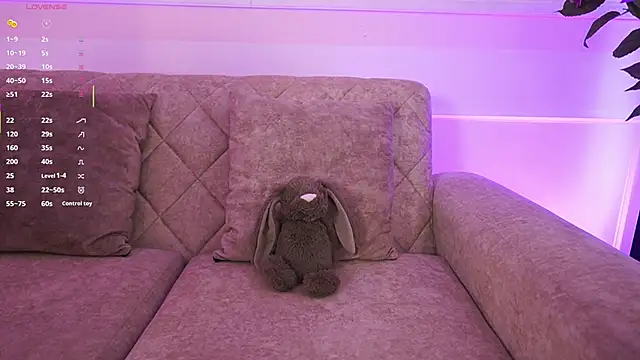 Anybuny online show from February 5, 2026, 2:43 pm