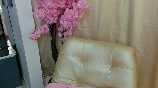  cat 18 online show from January 16, 2025, 1:47 pm