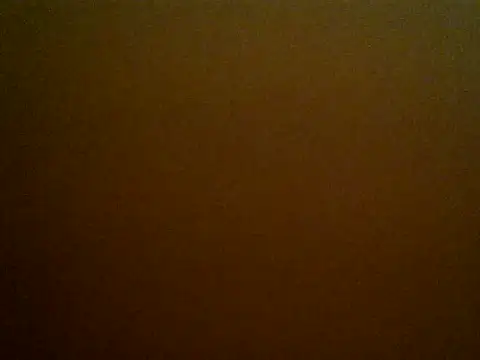 Snapshot of HOT-LOVELY chatting on January 30, 2025, 2:47 pm HOT-LOVELY online show from January 30, 2025, 2:47 pm