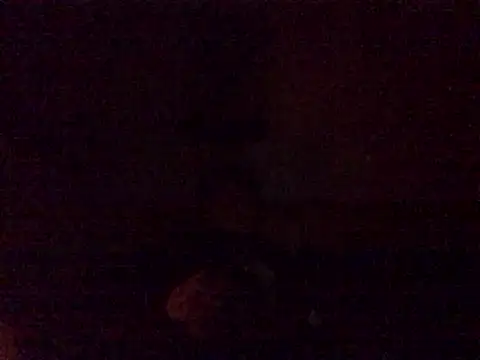 DragonPink online show from December 24, 2024, 12:11 am