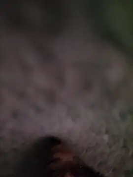 Casablancabig online show from March 18, 2025, 12:27 am