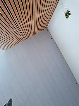 Snapshot of Asafadadosseussonhos21 chatting on January 13, 2025, 9:31 pm Asafadadosseussonhos21 online show from January 13, 2025, 9:31 pm