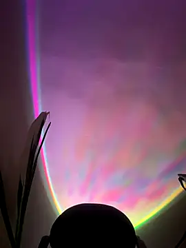 Malandralle online show from November 21, 2025, 5:50 am