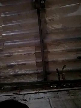 weedmanhot28 online show from October 2, 2025, 1:23 am