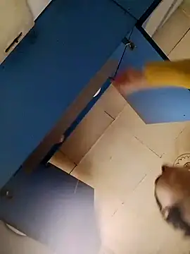 Gussie Bridie online show from October 24, 2025, 4:53 am