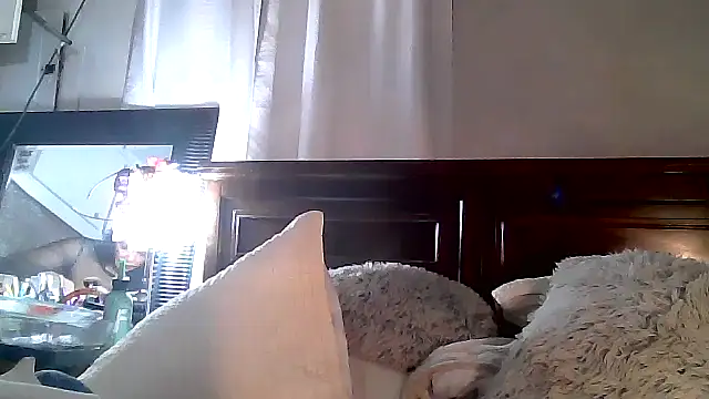 Snapshot of paiday chatting on December 4, 2024, 12:08 am paiday online show from December 4, 2024, 12:08 am