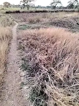 anjutandan499 online show from April 21, 2026, 12:22 pm