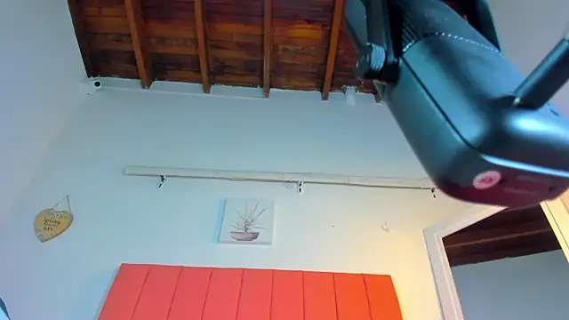 Snapshot of valen_rose0 chatting on November 2, 2025, 12:07 pm valen rose0 online show from November 2, 2025, 12:07 pm