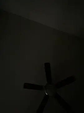 goldbuni online show from December 8, 2024, 1:36 pm