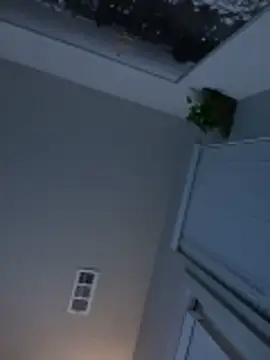 goldbuni online show from November 17, 2025, 12:11 pm