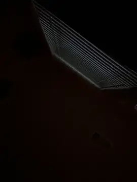 goldbuni online show from November 29, 2025, 12:52 pm