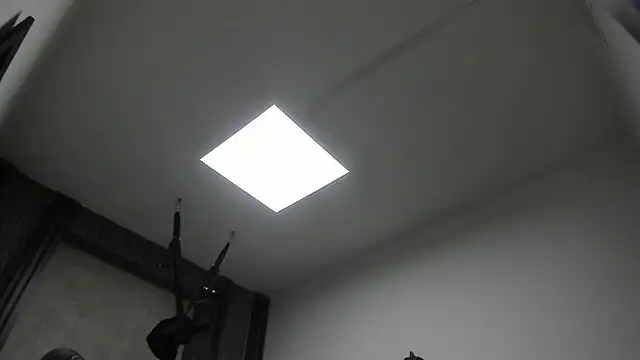 selene red  online show from February 3, 2026, 12:42 am