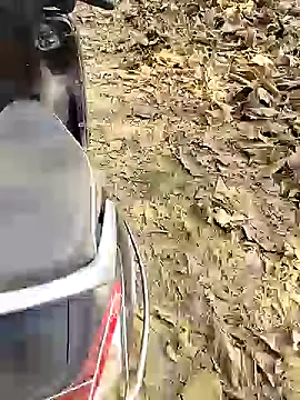 Snapshot of 88karan88 chatting on December 25, 2024, 4:44 am 88karan88 online show from December 25, 2024, 4:44 am