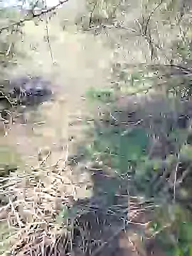 Snapshot of 88karan88 chatting on January 25, 2025, 8:10 am 88karan88 online show from January 25, 2025, 8:10 am