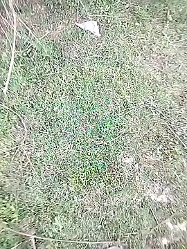 Snapshot of 88karan88 chatting on February 23, 2025, 10:28 am 88karan88 online show from February 23, 2025, 10:28 am