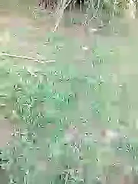 Snapshot of 88karan88 chatting on February 26, 2025, 10:58 am 88karan88 online show from February 26, 2025, 10:58 am