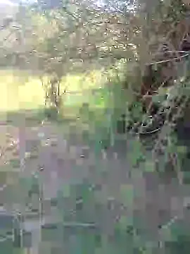 Snapshot of 88karan88 chatting on February 27, 2025, 3:47 am 88karan88 online show from February 27, 2025, 3:47 am