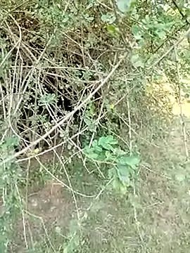 Snapshot of 88karan88 chatting on March 1, 2025, 10:24 am 88karan88 online show from March 1, 2025, 10:24 am