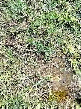 Snapshot of 88karan88 chatting on March 3, 2025, 11:22 am 88karan88 online show from March 3, 2025, 11:22 am