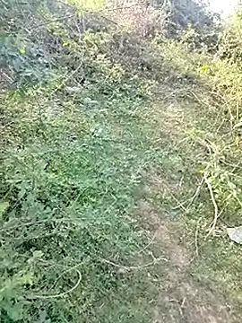 Snapshot of 88karan88 chatting on March 4, 2025, 10:46 am 88karan88 online show from March 4, 2025, 10:46 am