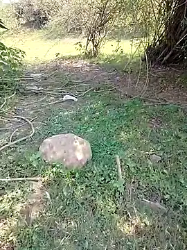 Snapshot of 88karan88 chatting on March 5, 2025, 4:34 am 88karan88 online show from March 5, 2025, 4:34 am