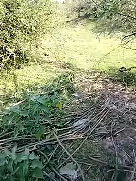 Snapshot of 88karan88 chatting on March 11, 2025, 4:43 am 88karan88 online show from March 11, 2025, 4:43 am