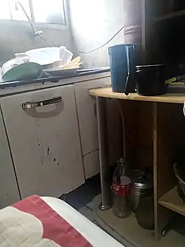 bibifonsecah online show from February 11, 2026, 4:12 pm