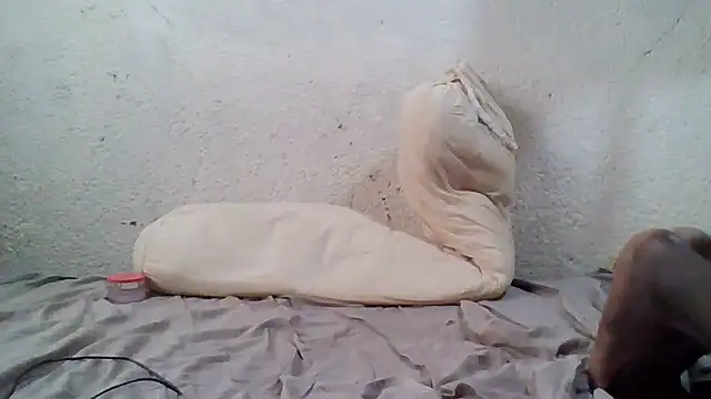 demo2004 online show from October 17, 2025, 11:13 am