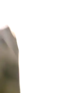 littlehornysons online show from October 6, 2025, 2:09 am