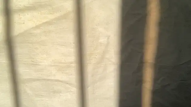 beforeyou69 online show from November 6, 2025, 8:04 am