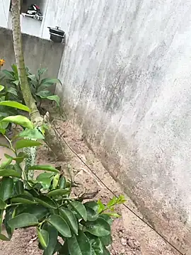 king cum  online show from February 18, 2026, 2:24 pm