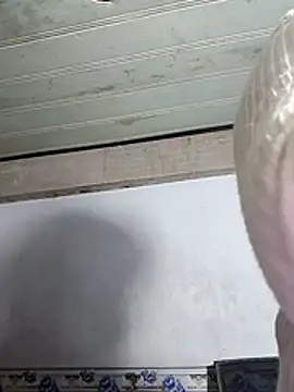 phnz online show from March 14, 2026, 11:59 am