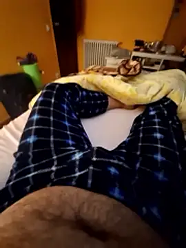 Escondido52 online show from January 8, 2026, 10:12 pm