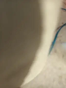 Snapshot of cachondoyardiente chatting on March 16, 2025, 2:00 pm cachondoyardiente online show from March 16, 2025, 2:00 pm