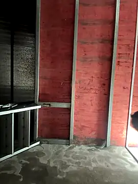 Hellen 111 online show from November 11, 2025, 3:12 pm