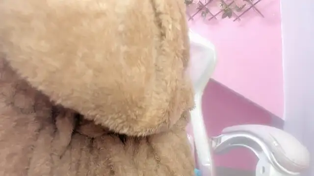 meribeth303av online show from December 22, 2024, 2:17 am