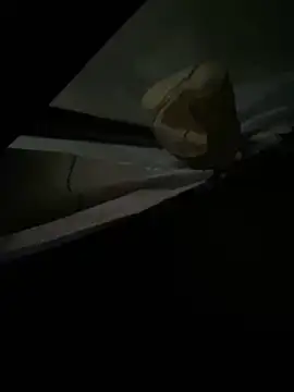 xxkingxx420 online show from December 16, 2024, 7:00 pm