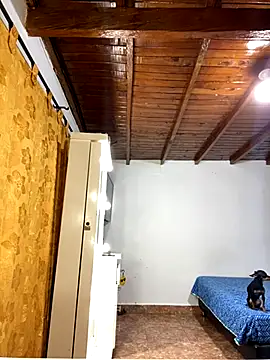 Zaratattoox online show from December 1, 2025, 9:53 pm