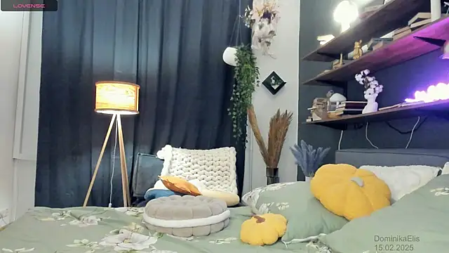 DominikaElis online show from February 15, 2025, 8:11 pm