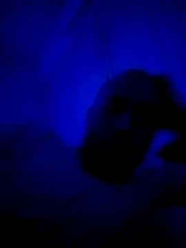 HELL FIRE online show from September 30, 2025, 5:23 am