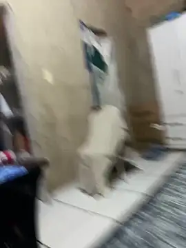 Snapshot of HenriqueH3 chatting on March 2, 2026, 4:14 pm HenriqueH3 online show from March 2, 2026, 4:14 pm