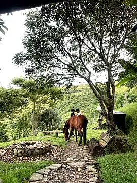 FlpGmz online show from April 4, 2026, 10:18 pm