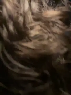 eva y marcelo online show from February 15, 2025, 11:03 pm