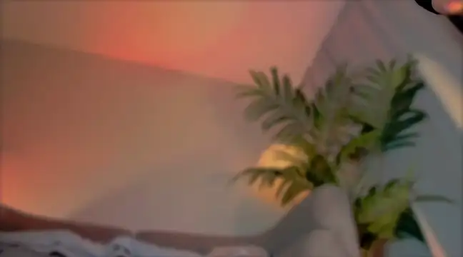  cherry bloss  online show from March 21, 2025, 5:21 am